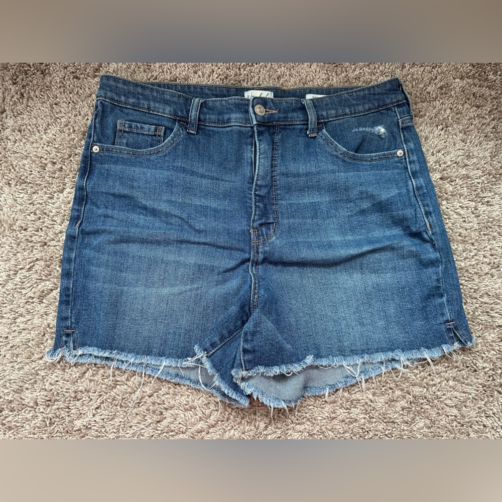 Wonderly High Rise Blue Jean Shorts Distressed